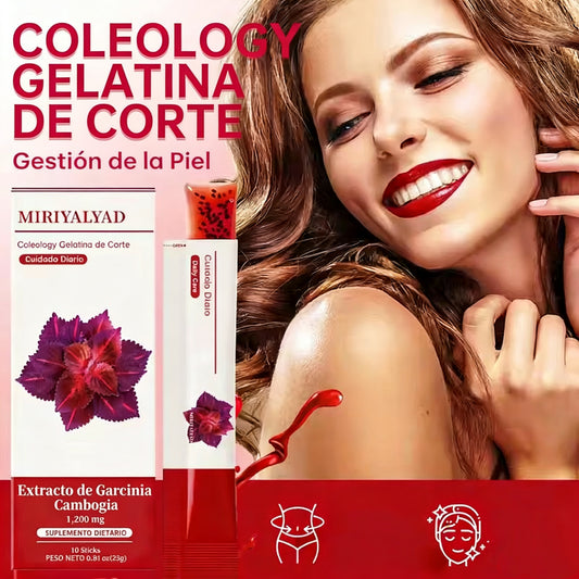 10 barritas de Coleology Cutting Jelly de Miriyalyad