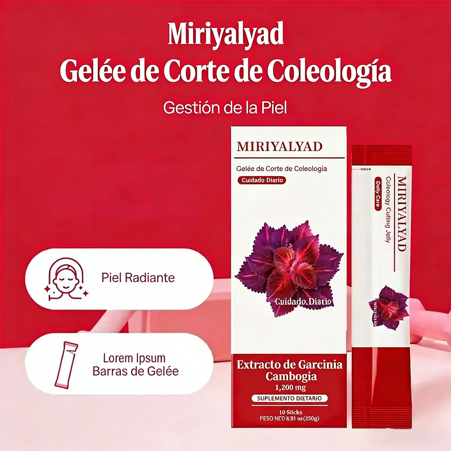 🔥10 barritas de Coleology Cutting Jelly de Miriyalyad