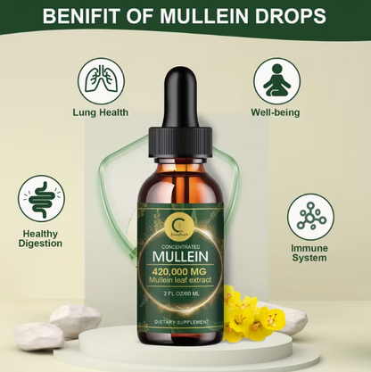 Mullein Drops for Lung Health